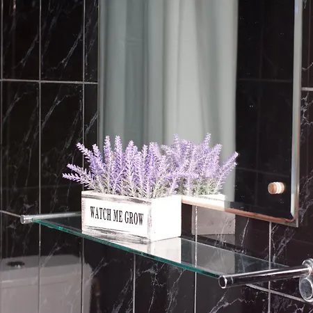 Jasp Affittacamere Eforie Nord