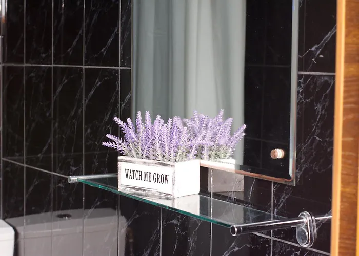 Jasp Pensiune Eforie Nord